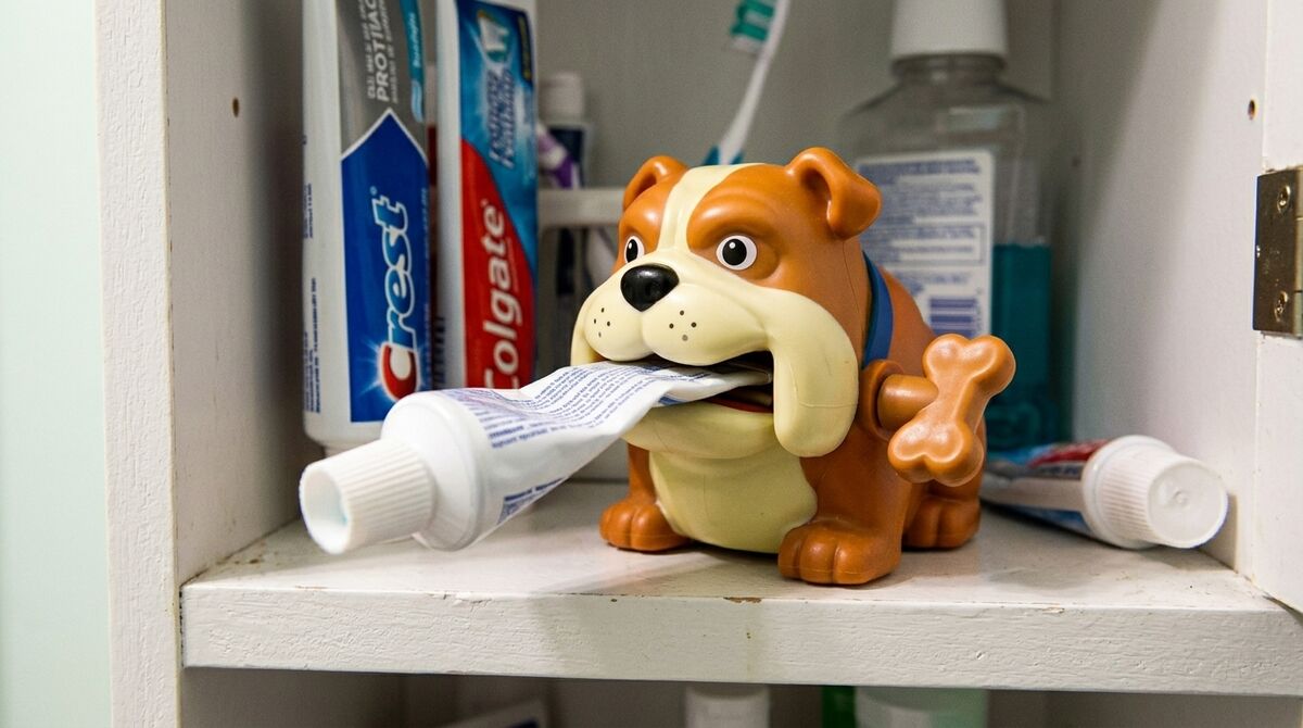 Bulldog squeezer sitting in a medicine cabinet
